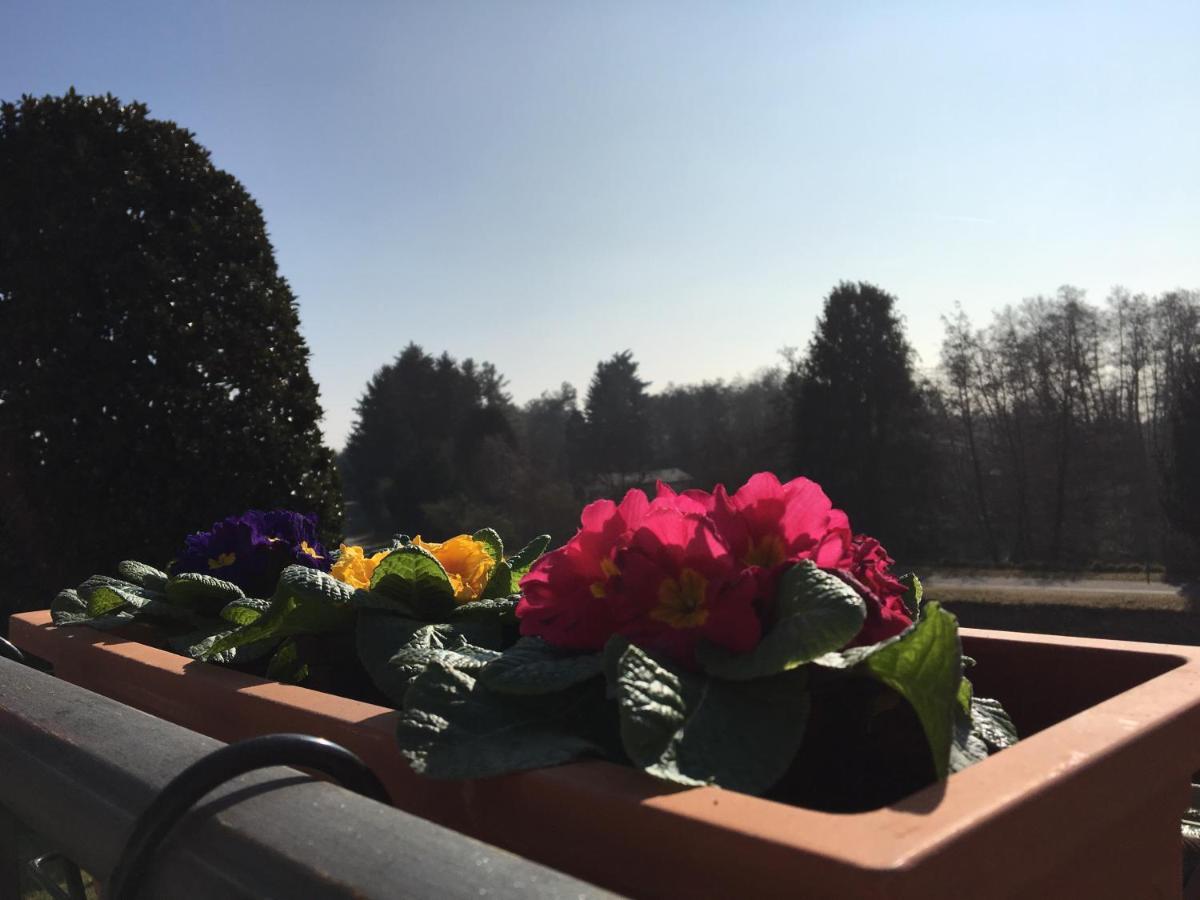 La Terrazza Sul Naviglio B&B Bernate Ticino Dış mekan fotoğraf
